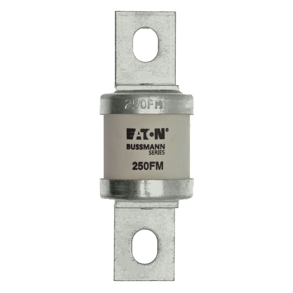250FM Bussmann BS88 Fuse