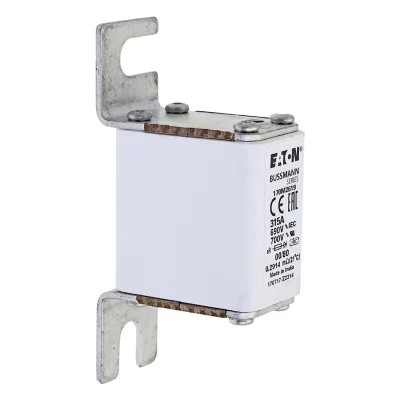 170M2619 Bussmann high speed square body fuse