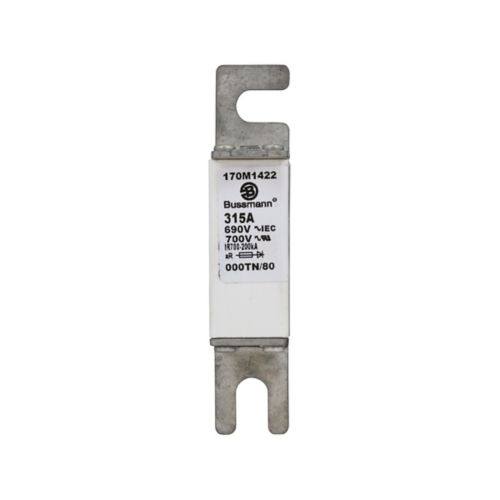 170m1422 Buss High Speed Fuse for DC Drives