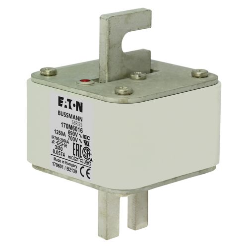 170M6016 High Speed Square Body Fuse 1250A 690V